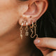 Bold Hoops