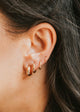 Close-up of an ear wearing gold hoop earrings with dark hair.