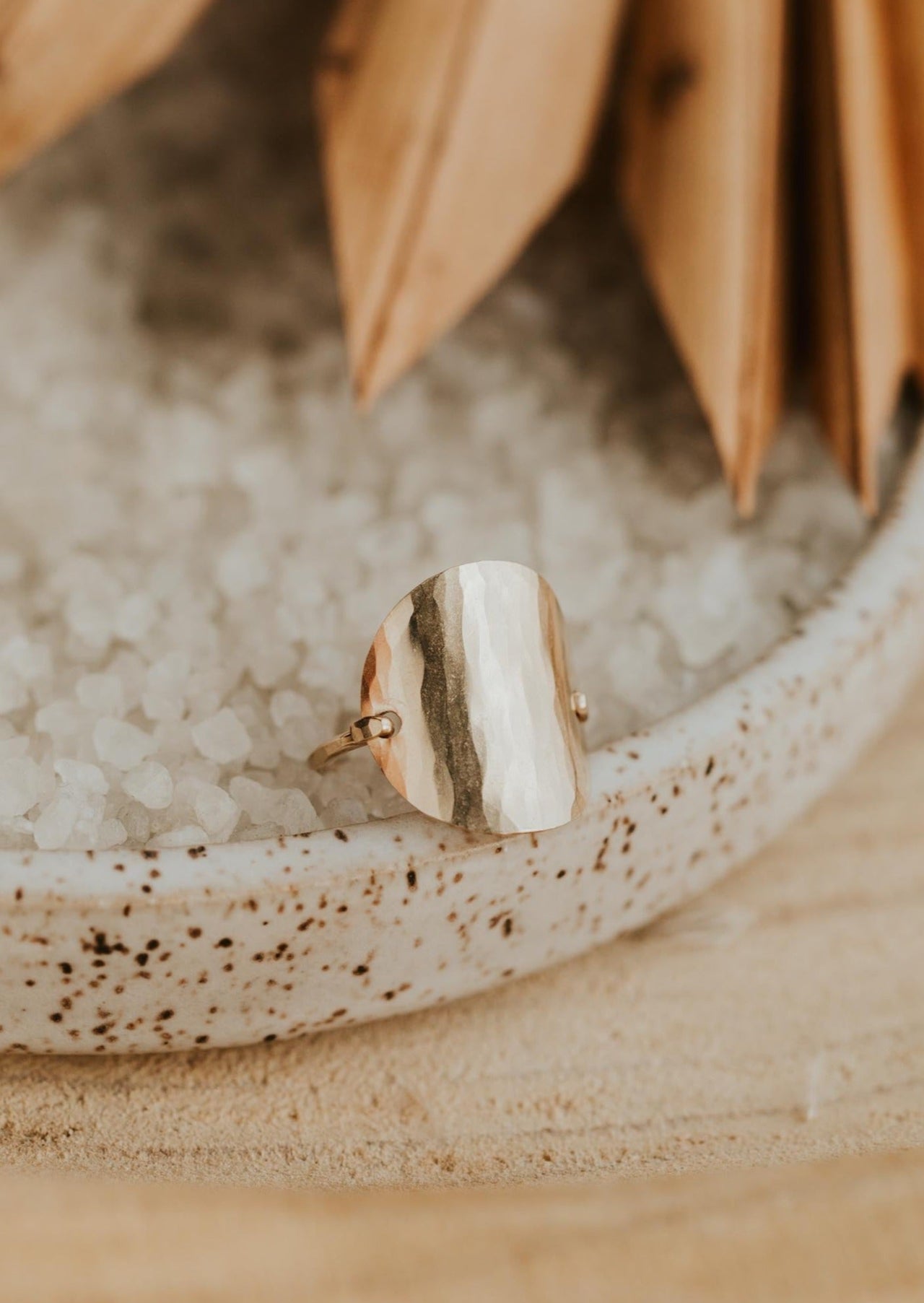 files/Supermoon-ring-8.jpg