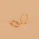 Arlo Hoops