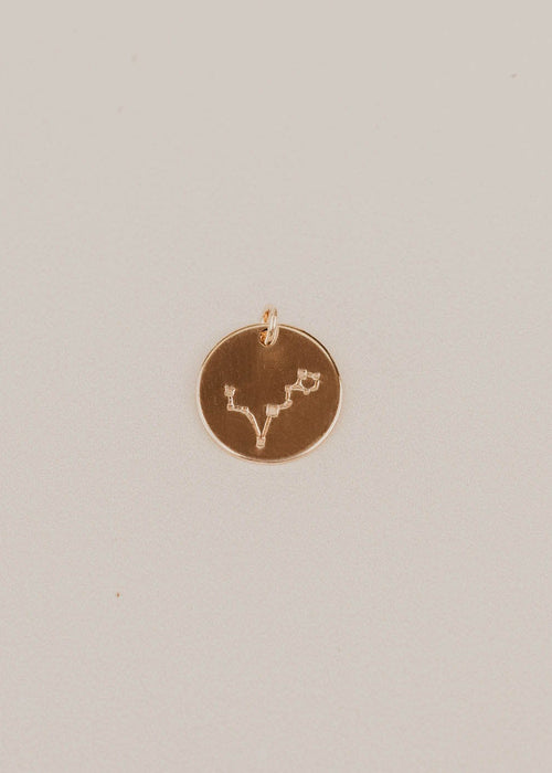 Evie Pisces Constellation Charm