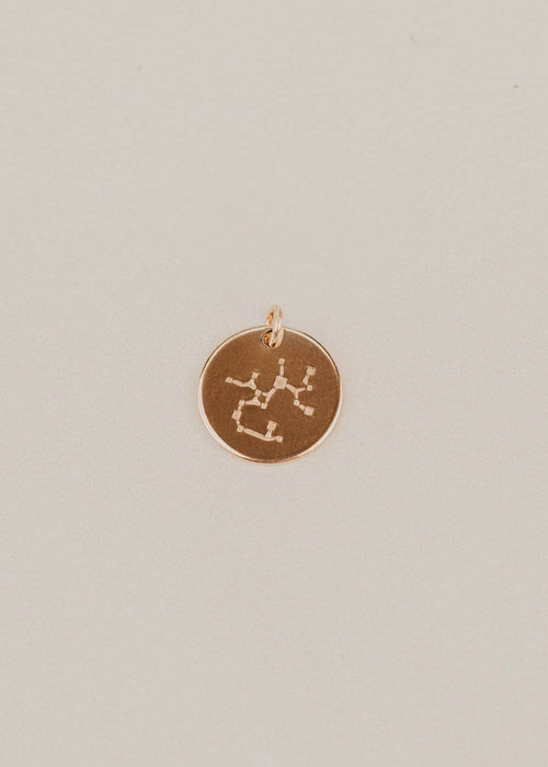 Evie Sagittarius Constellation Charm