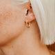 Arlo Hoops