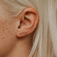 Trace Ear Climbers