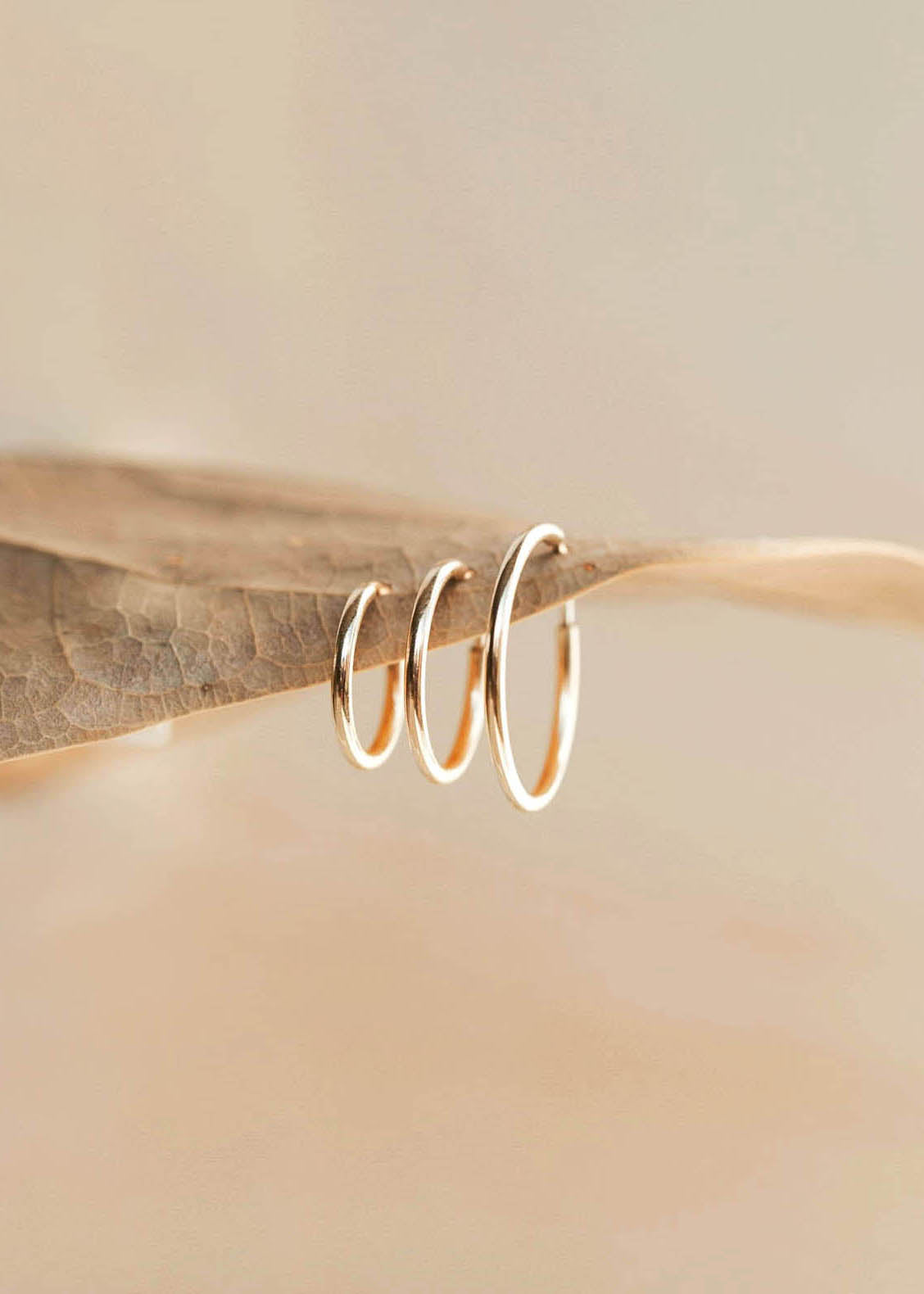 products/endless-hoops41_dbff015f-de8b-4421-a3ff-dc2cc5de37d0.jpg